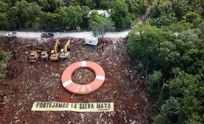 Tribunal mexicano proíbe corte de árvores em troço de comboio turístico na Riviera Maya