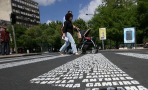 Atropelamentos aumentaram quase 23% até outubro do ano passado