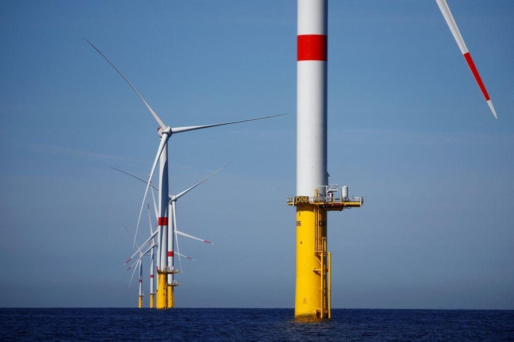 Energia eólica no mar da Figueira da Foz pode criar mais de sete mil empregos