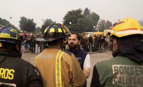 Chile declara recolher obrigatório no centro do país devido a incêndios florestais