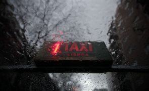Governo aprova novo regime jurídico para setor do táxi que será submetido ao parlamento