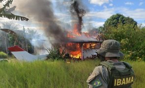 Polícia brasileira realiza nova operação contra mineradores na terra indígena Yanomami