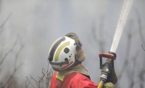 Contingente português de 144 peritos parte hoje para o Chile para ajudar a combater fogos