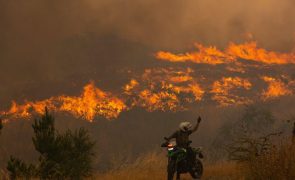 Governo chileno agradece a Portugal envio de força para combate aos incêndios