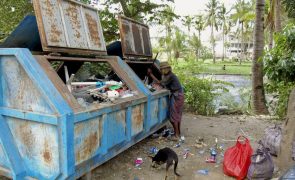 Quase um quarto da população timorense com insegurança alimentar grave e urgente - estudo