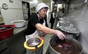 Lampreia de Penacova contribui para afirmar o território e a gastronomia local