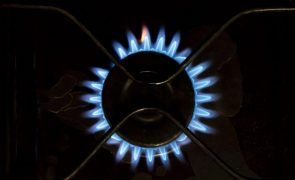 UE reduz consumo de gás natural em 19,3% entre agosto e janeiro