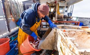 Armadores das pescas industriais contestam proposta da Comissão Europeia