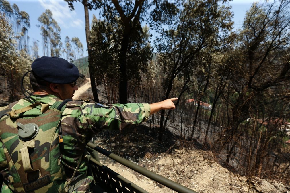 Fuzileiros patrulham florestas para prevenção de incêndios
