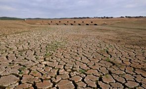Tendências da seca no Corno de África são piores do que na fome de 2011