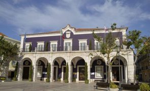 Câmara de Setúbal diz que não se confirmaram suspeitas sobre acolhimento de refugiados ucranianos