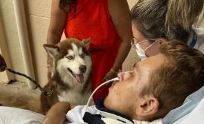 Jovem internado há dois meses recebe visita do cão e é isto que acontece
