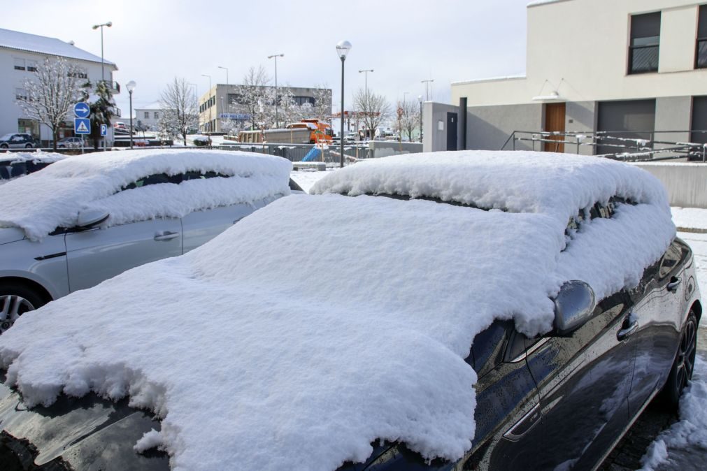 Neve obrigou a encerrar escolas e condicionou ligações viárias em Mogadouro