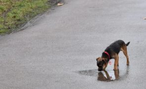 Sexta-feira com mais frio e regresso da chuva