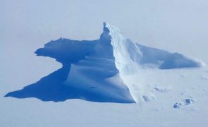 Improvável que abatimento da tundra provoque degelo acelerado - simulação