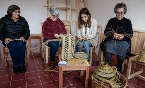 Lista Vermelha identifica atividades artesanais em risco de extinção no Algarve