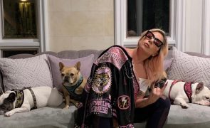 Lady Gaga processada por mulher que fez parte do rapto dos cães da cantora