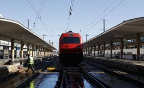 Greve de trabalhadores da CP levou à supressão de 143 comboios até às 08:00