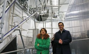 Ministra da Agricultura vai simplificar Pedido Único e candidaturas a investimentos agrícolas