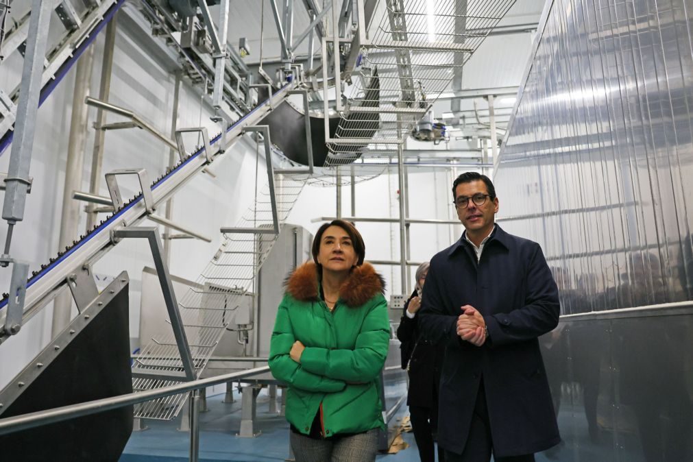 Ministra da Agricultura vai simplificar Pedido Único e candidaturas a investimentos agrícolas
