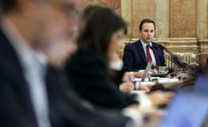TAP: Medina diz que conclusões que vai retirar da IGF são para 