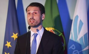 NAV assume responsabilidade em incidentes no Porto e Ponta Delgada mas rejeita alarmismo