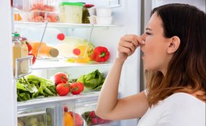 É provável que ande a estragar comida pela forma como a guarda no frigorífico