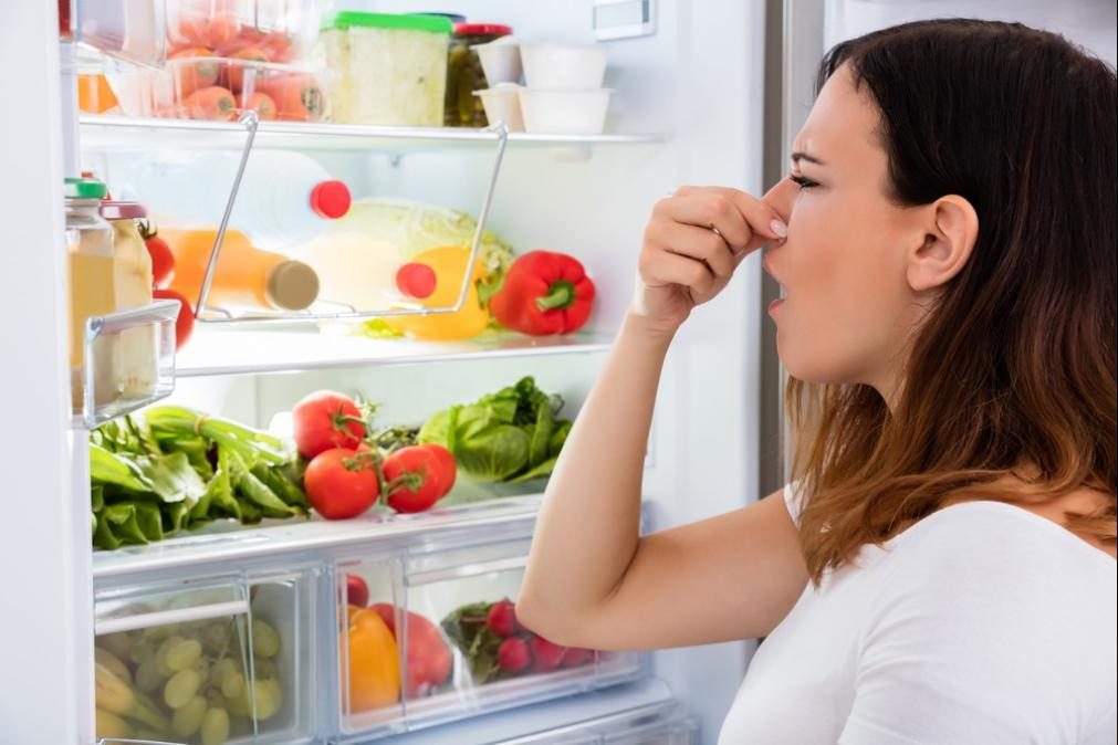 É provável que ande a estragar comida pela forma como a guarda no frigorífico