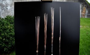 Reino Unido devolve a Austrália quatro lanças aborígenes saqueadas em 1770
