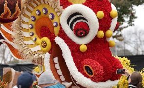 Dragões de flores na Califórnia