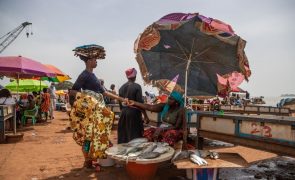 Defensores dos direitos humanos na Guiné-Bissau nunca estiveram tão vulneráveis como agora