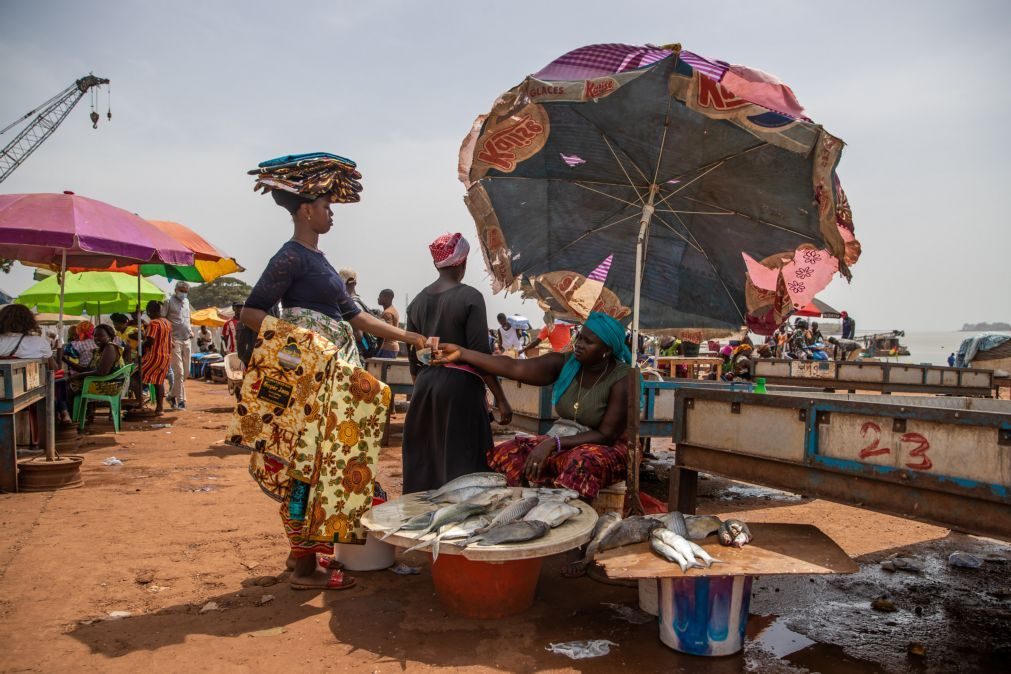 Defensores dos direitos humanos na Guiné-Bissau nunca estiveram tão vulneráveis como agora