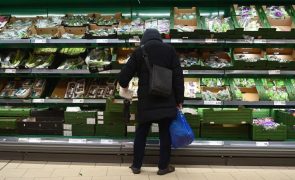 Preços dos alimentos caem em fevereiro pelo 11.º mês consecutivo -- FAO