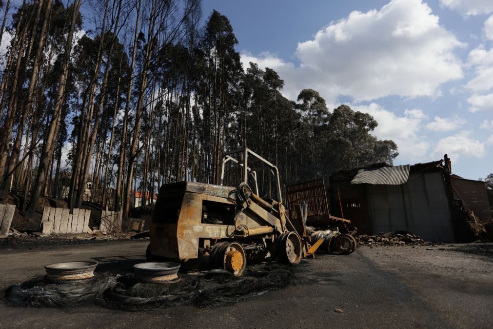 Perto de 350 empresas afetadas com incêndios e prejuízo de 360 milhões de euros