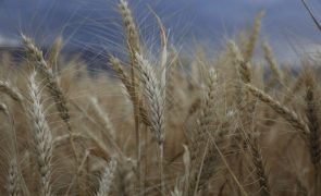 Rússia promete cumprir acordo de cereais se outras partes o fizerem