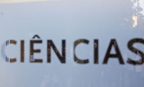 Investigadores usam resíduos marinhos para desenvolver baterias 