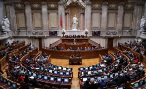 AR vai pedir auditorias à Infraestruturas de Portugal e ao custo das baixas médicas