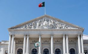 Parlamento prepara grupo de trabalho sobre abusos sexuais contra crianças
