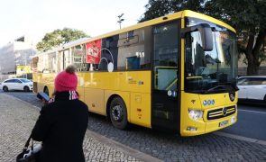 Carris Metropolitana continua a recrutar motoristas para cumprir oferta prevista