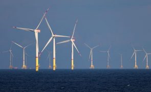 Pescadores revoltados exigem respeito e diálogo sobre eólicas 'offshore'