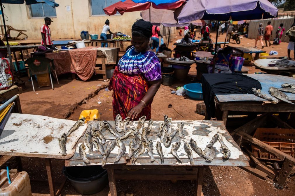 Preços da Guiné-Bissau aumentaram 0,7% em fevereiro em relação a janeiro - INE