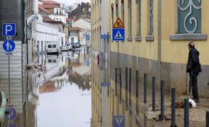 Empresas afetadas por incêndios e inundações podem concorrer a apoios até 02 de maio