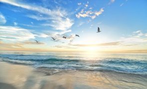 Meteorologia: Previsão do tempo para domingo, 19 de março