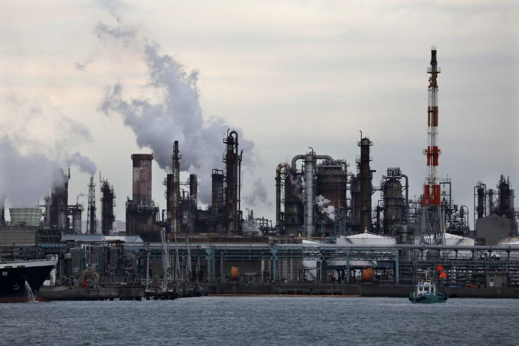 Empresas esquecem emissões de gases das cadeias de abastecimento, alerta relatório