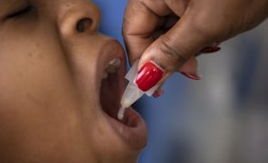 Guiné-Bissau inicia campanha para tentar vacinar 70% da população