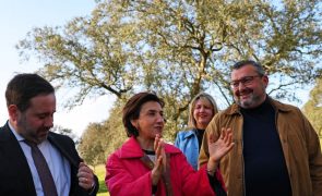 Ministra anuncia símbolo que ateste preço justo nos produtos alimentares