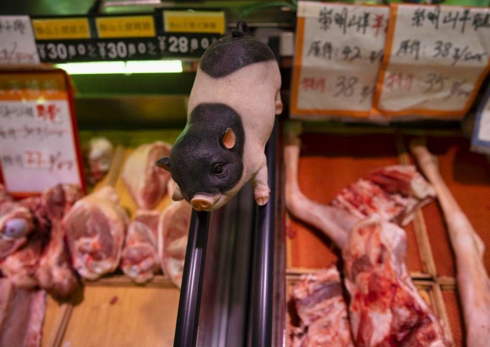 China luta novamente contra peste suína que matou milhões de porcos