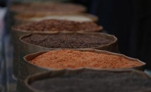 ONU mobilizada ao mais alto nível para manter acordo dos cereais com a Ucrânia