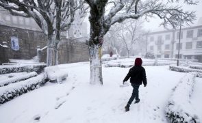 Dois distritos sob aviso amarelo devido à queda de neve