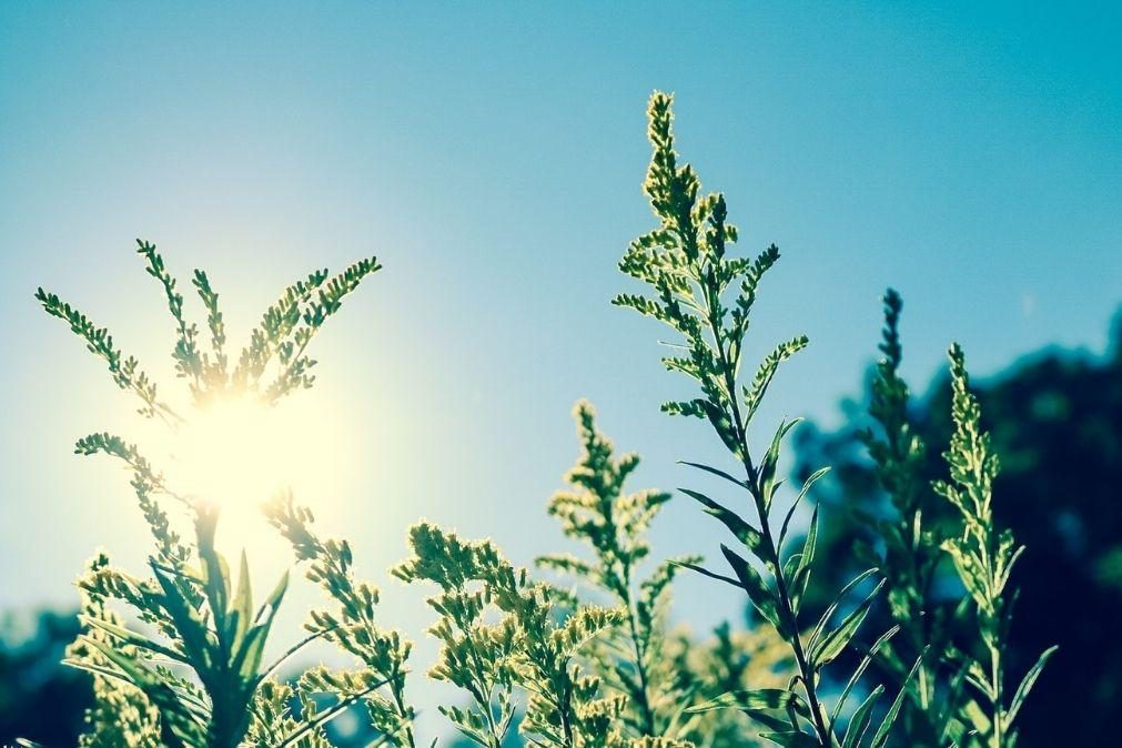 Meteorologia: Previsão do tempo para segunda-feira, 20 de março